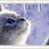 Profile picture for user annina1956