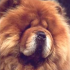 Profile picture for user SISSI44