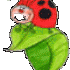 Profile picture for user provvy3