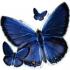 Profile picture for user Laura1102