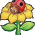 Profile picture for user laura14