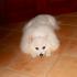 Profile picture for user gabrieli.marica