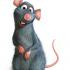 Profile picture for user s.berti
