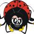 coccinella79 avatar